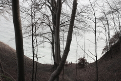 Killikus&reg; Fotographie